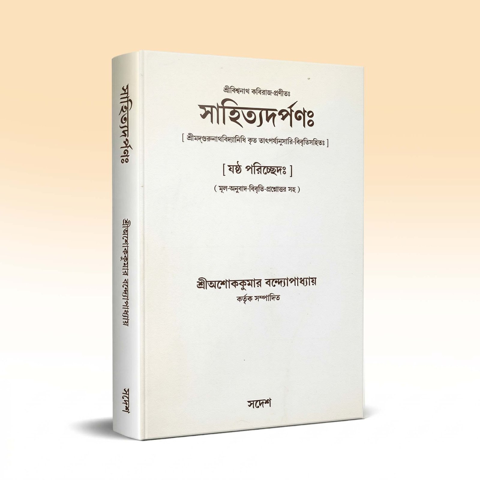 sahitya-darpan-6th-chapter-1st-edition-2011.jpg