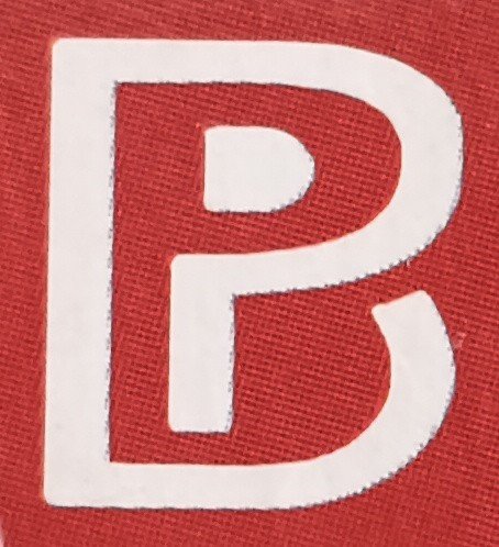 barnaparichoi-publishers-logo