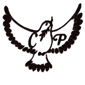 cognition-publishers-logo